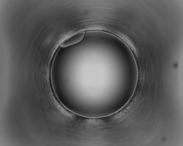 X0000100860805200806201215