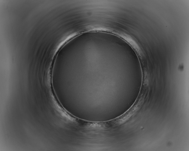 X0000100860806200806201215