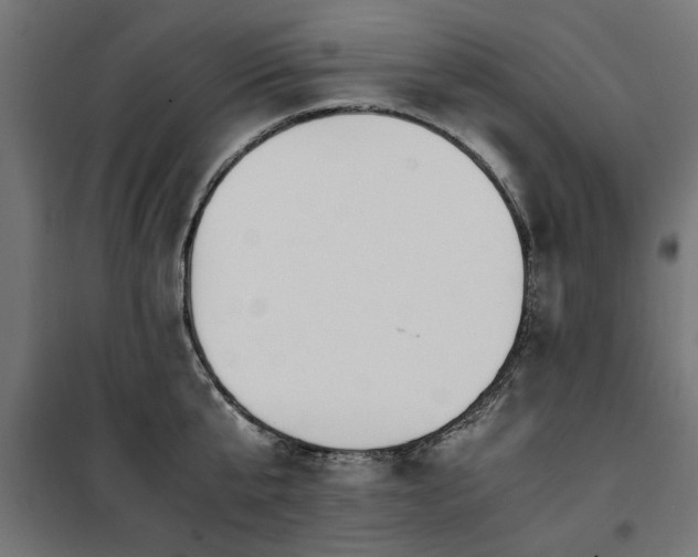 X0000100860807200806201215