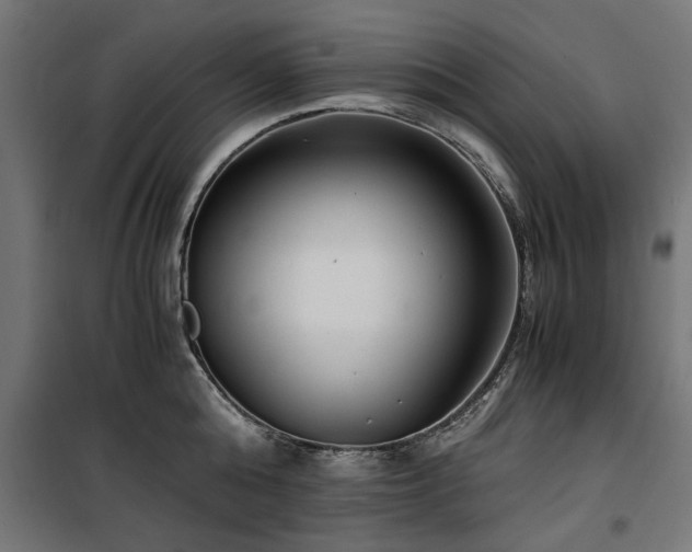 X0000100860808200806201215