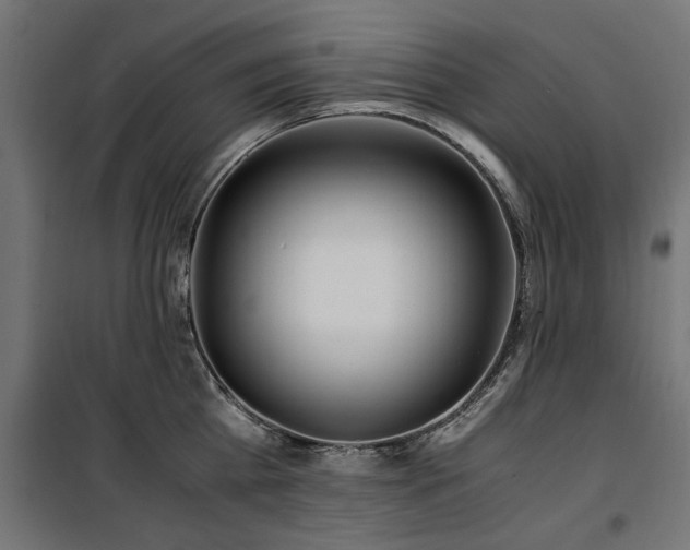 X0000100860809200806201215