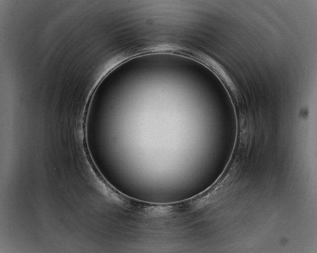 X0000100860810200806201215