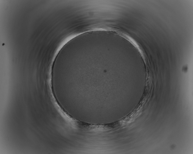 X0000100860811200806201215