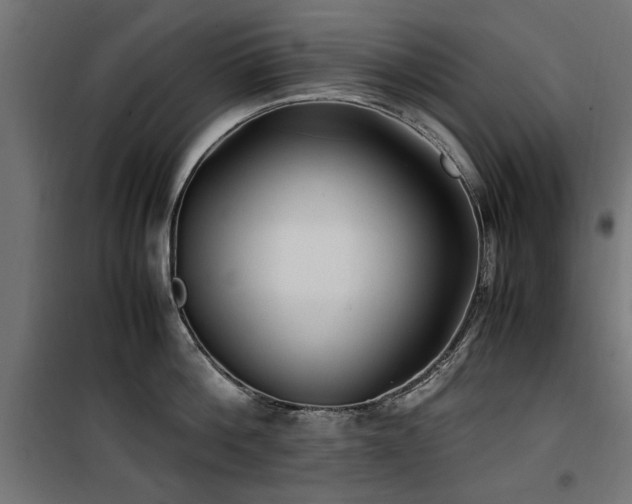 X0000100860812200806201215