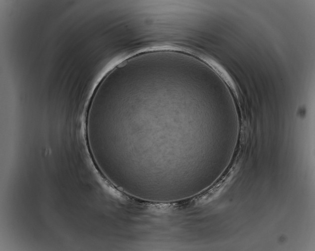 X0000100860813200806201215