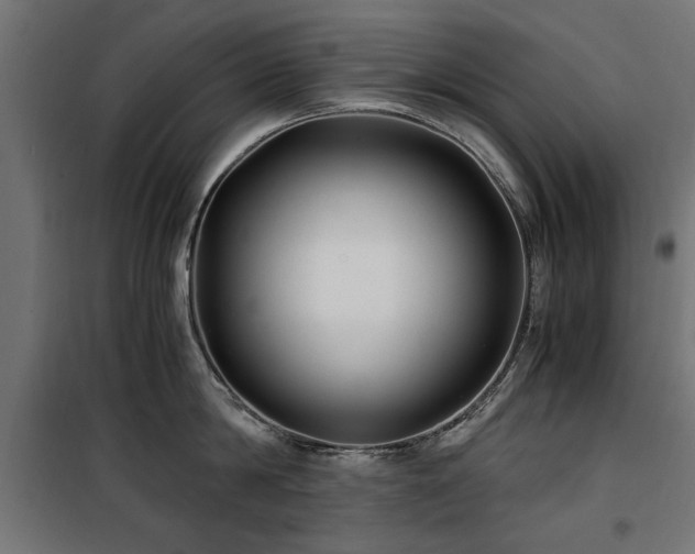 X0000100860814200806201215