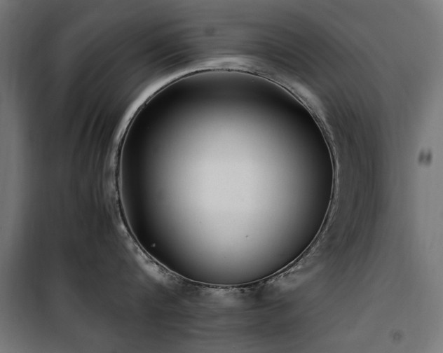 X0000100860816200806201215