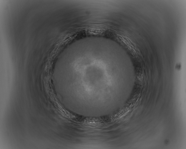 X0000100860817200806201215