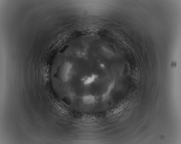 X0000100860818200806201215