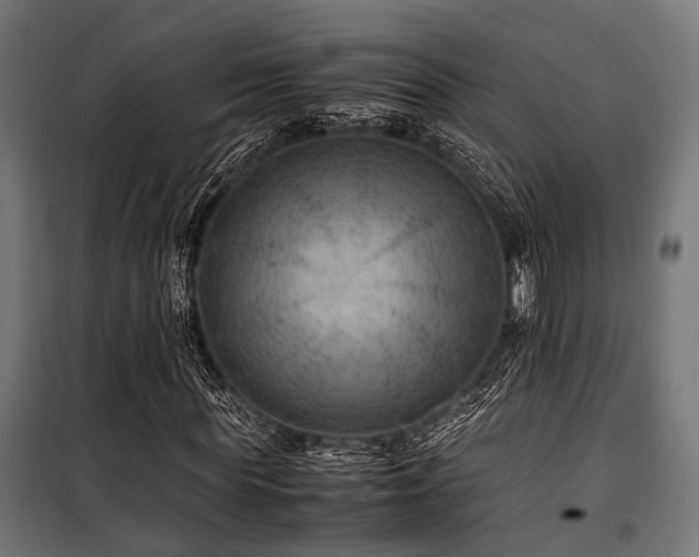 X0000100860819200806201215