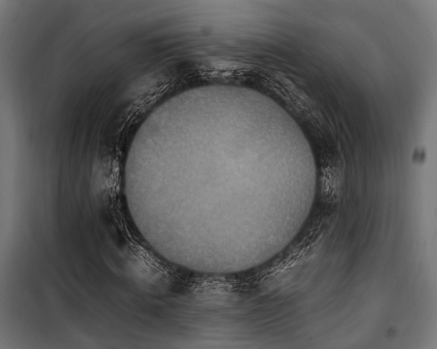 X0000100860820200806201215