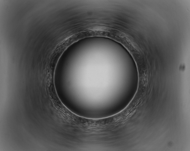 X0000100860821200806201215