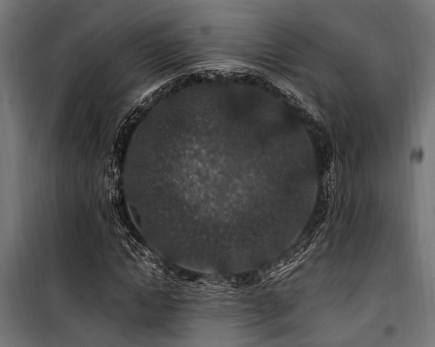 X0000100860822200806201215