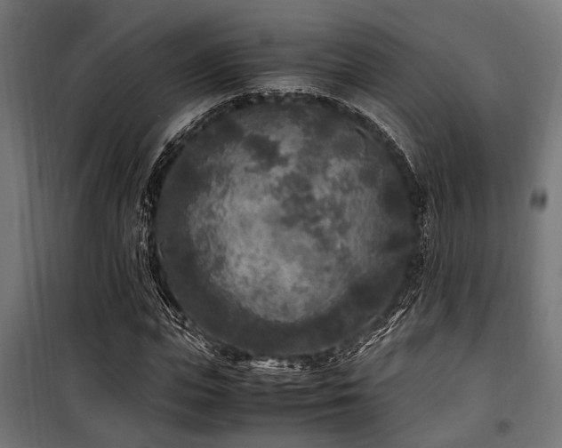 X0000100860823200806201215