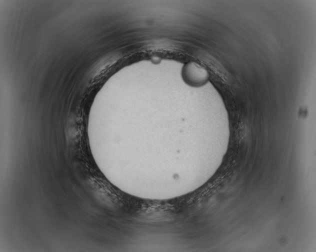 X0000100860824200806201215