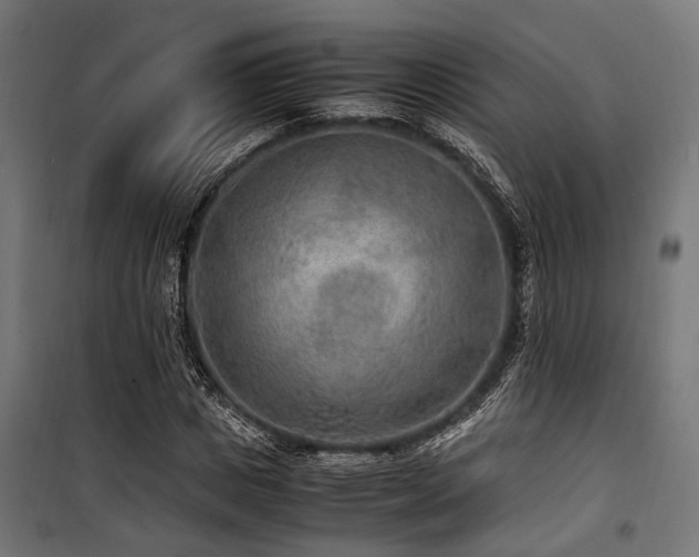 X0000100860825200806201215