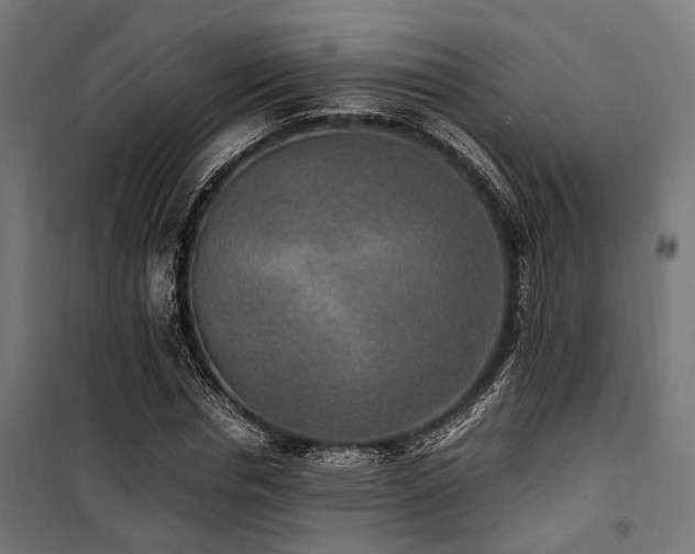 X0000100860826200806201215