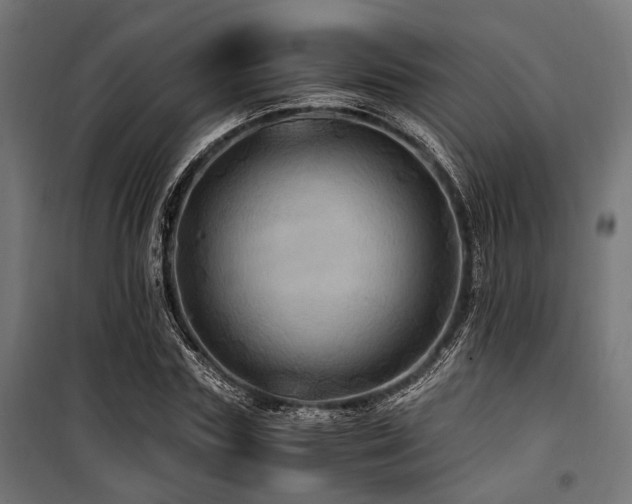 X0000100860827200806201215