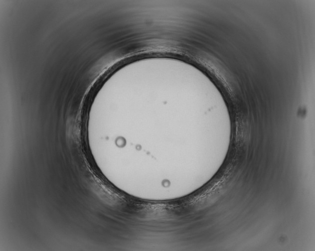 X0000100860828200806201215