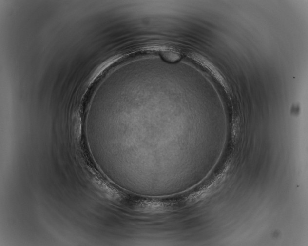 X0000100860829200806201215