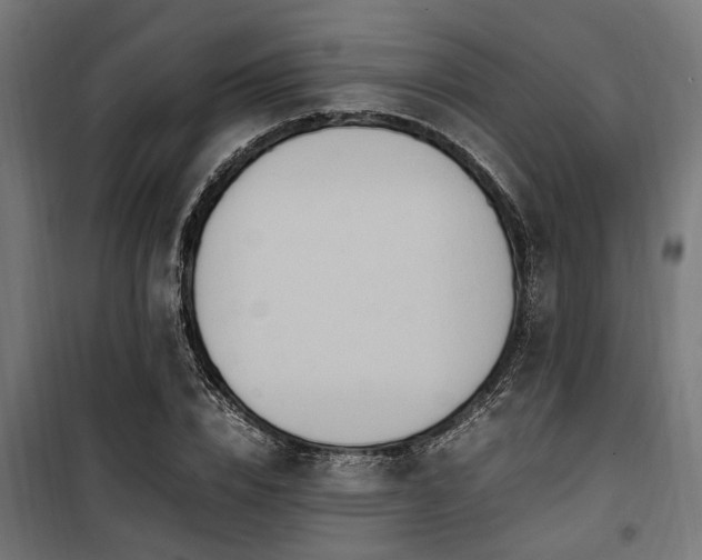 X0000100860832200806201215