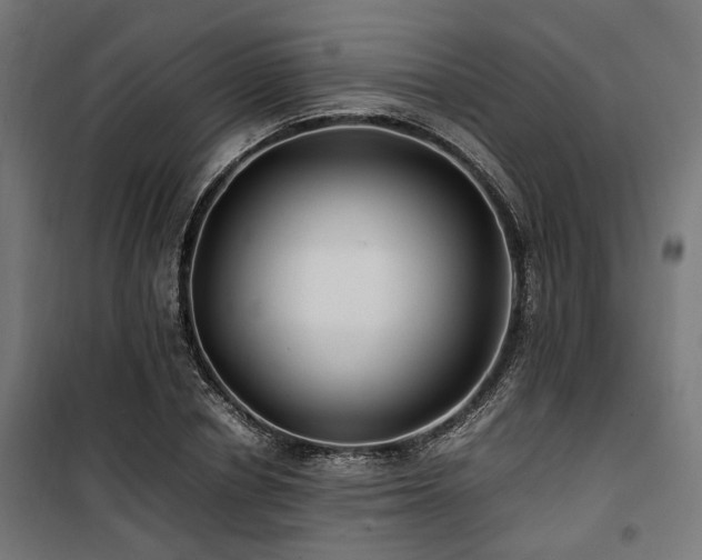 X0000100860834200806201215