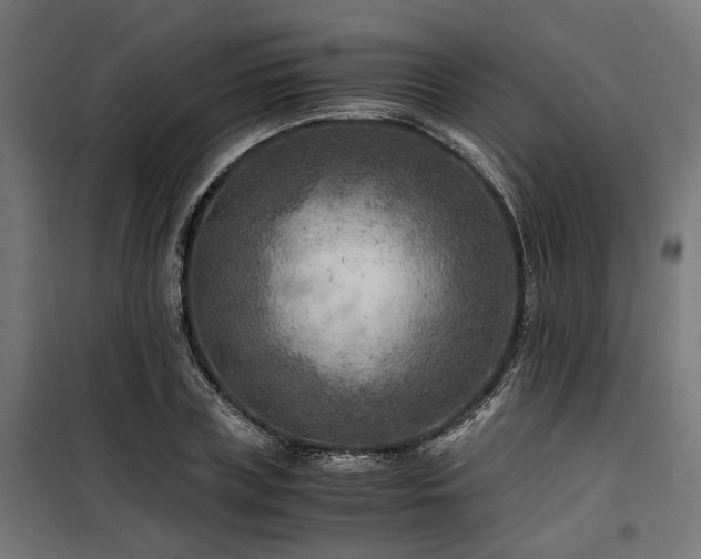 X0000100860835200806201215