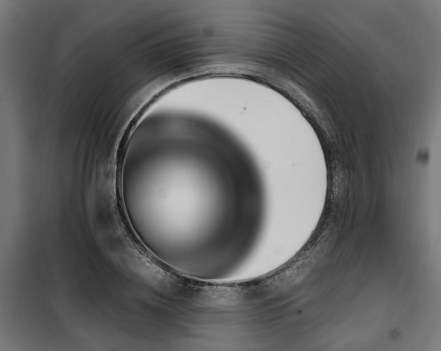 X0000100860836200806201215