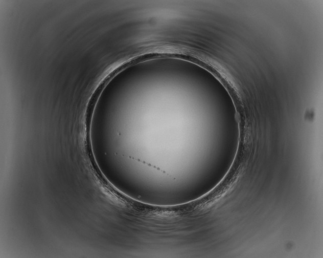 X0000100860837200806201215