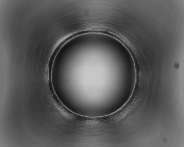 X0000100860838200806201215