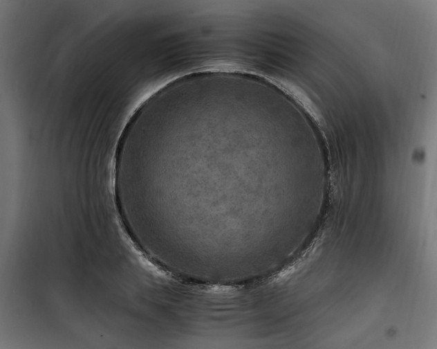 X0000100860839200806201215