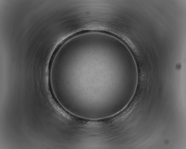 X0000100860840200806201215