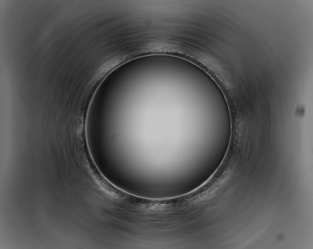 X0000100860841200806201215