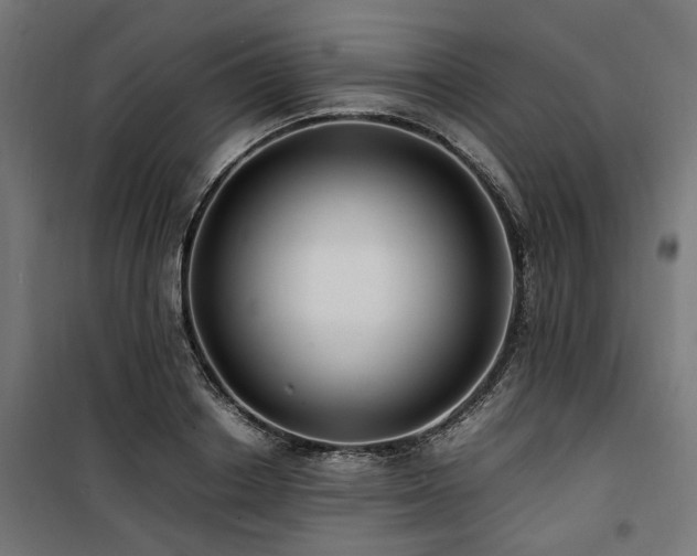 X0000100860842200806201215