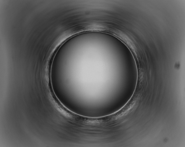 X0000100860843200806201215