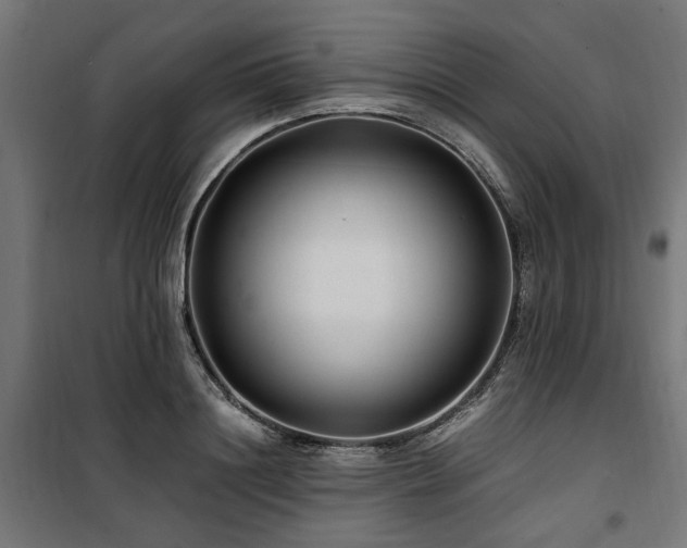 X0000100860844200806201215