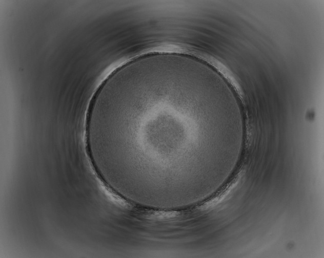 X0000100860845200806201215