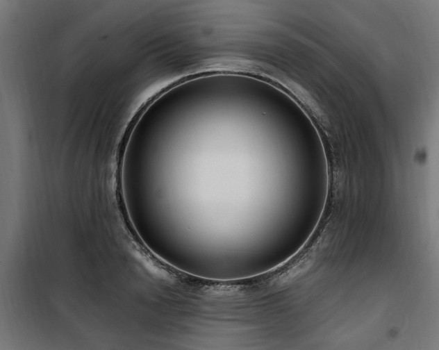 X0000100860846200806201215