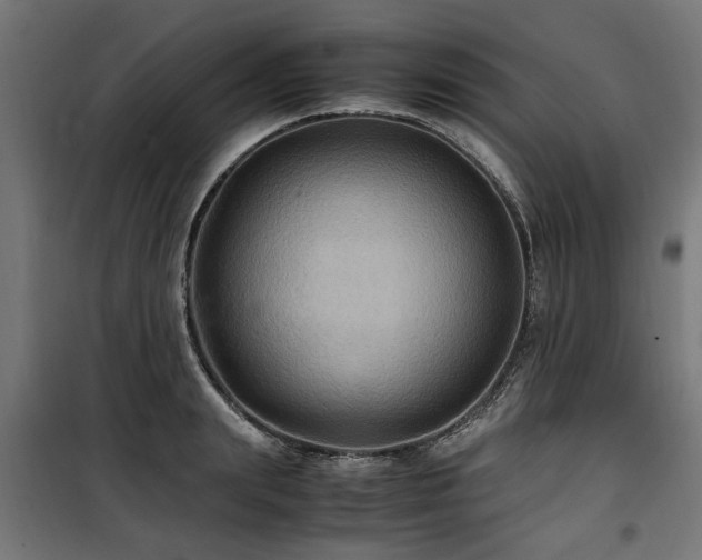 X0000100860847200806201215