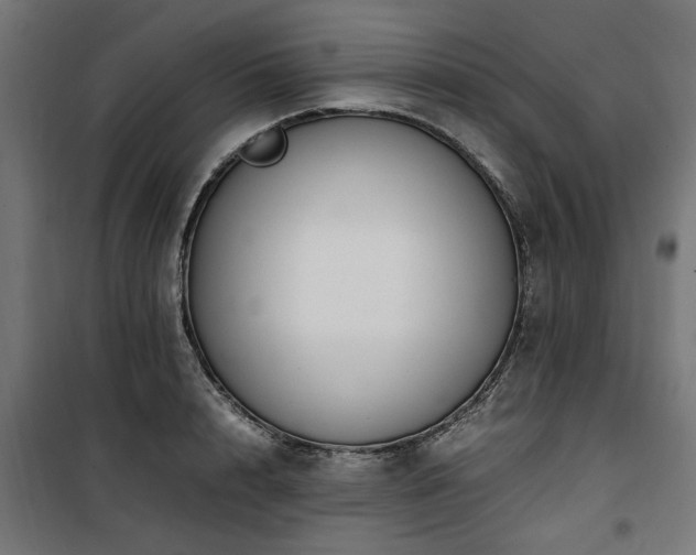 X0000100860848200806201215