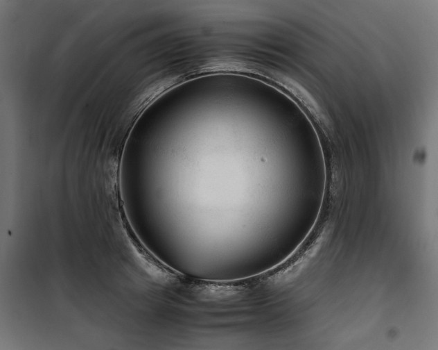 X0000100860849200806201215