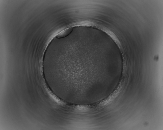 X0000100860850200806201215