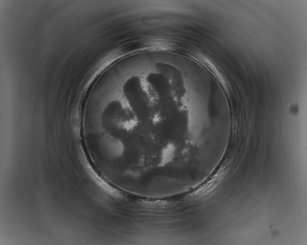 X0000100860851200806201215