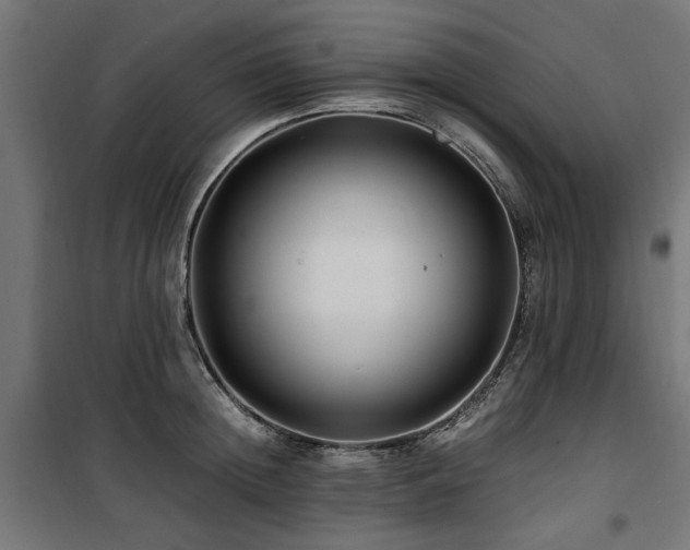 X0000100860852200806201215