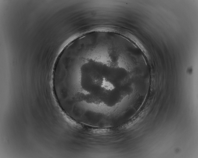 X0000100860853200806201215