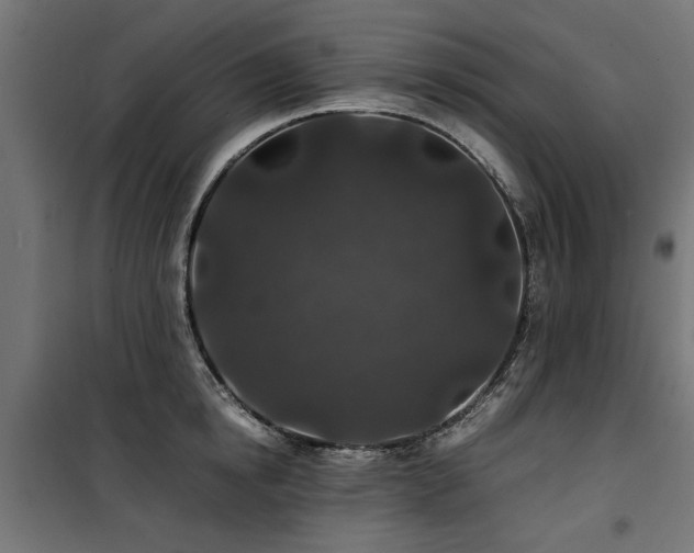 X0000100860854200806201215