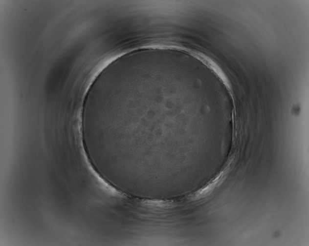 X0000100860855200806201215