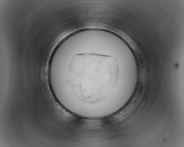 X0000100860856200806201215