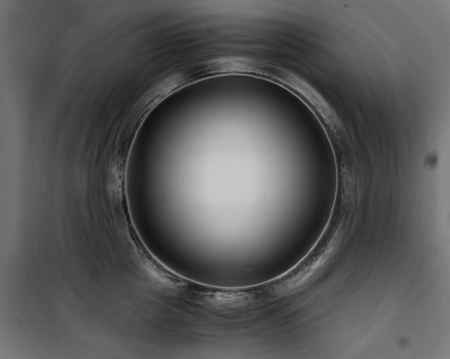 X0000100860857200806201215