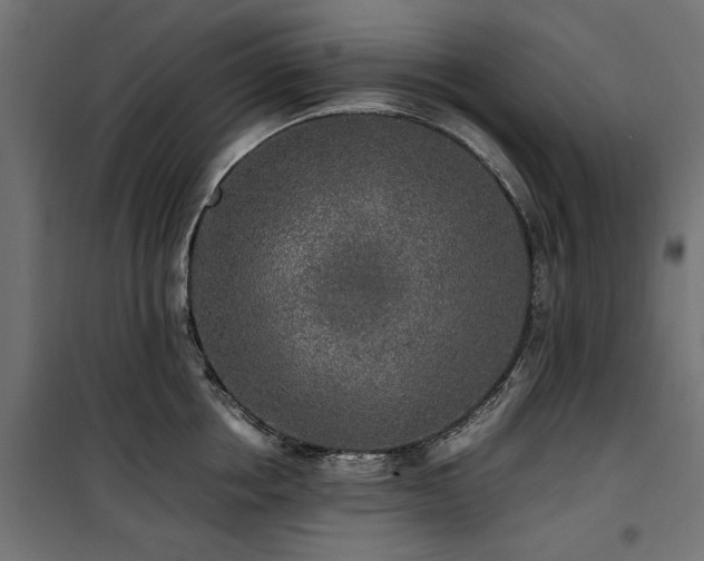 X0000100860858200806201215